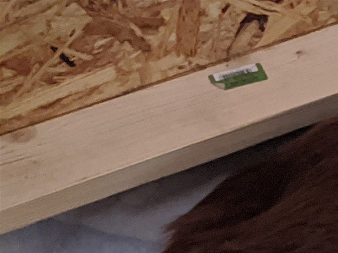 Greta ist eine sehr fürsorgliche Mama, sie macht das ganz toll